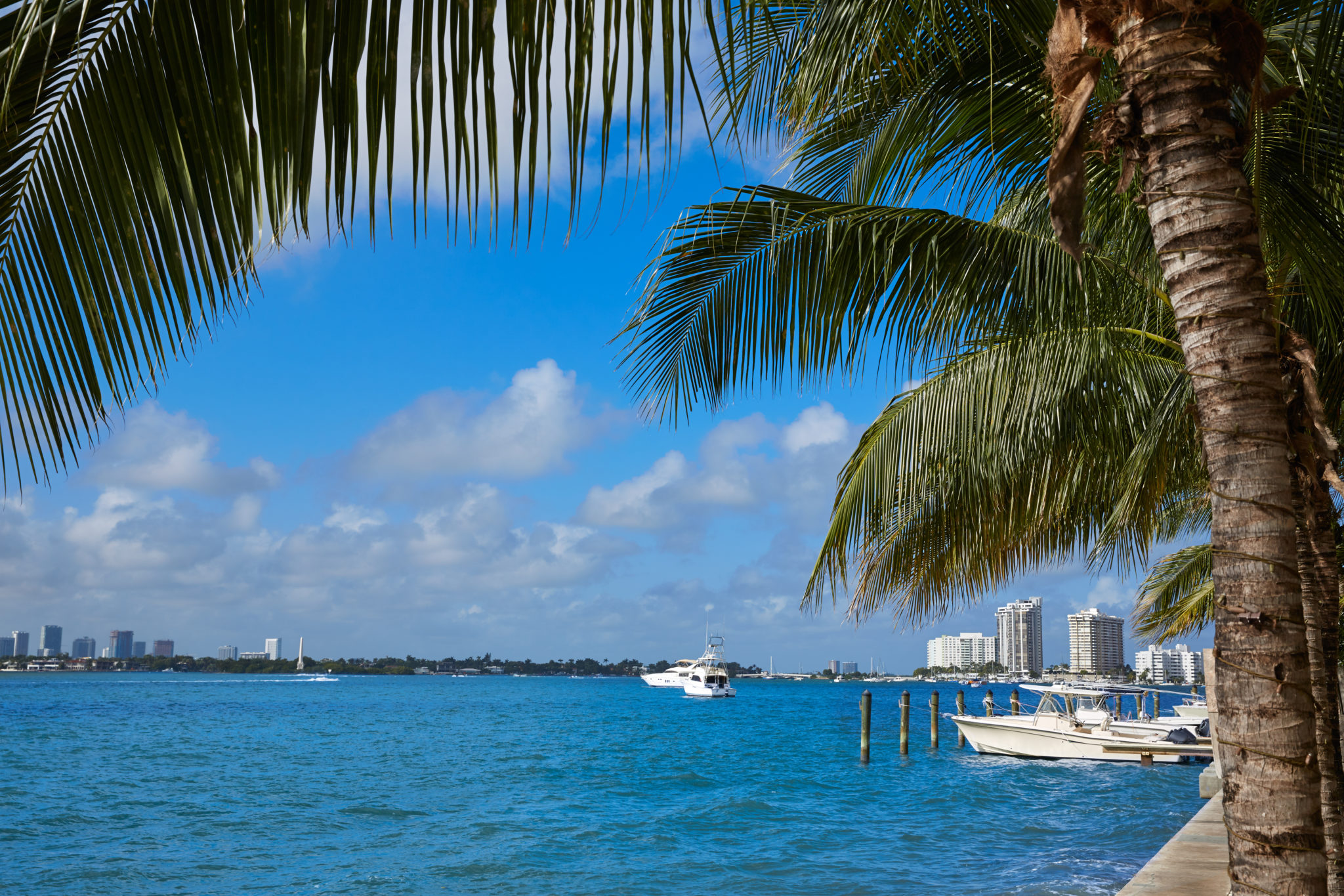 Miami Beach Real Estate - Pobiak Properties Cover